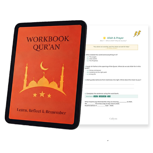 Illustrated Workbook
